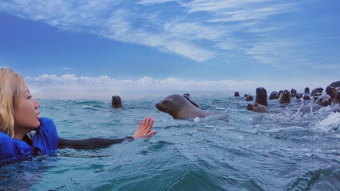 Swimming-with-sea-lions-in-Peru-11 Swimming-with-sea-lions-in-Peru-11