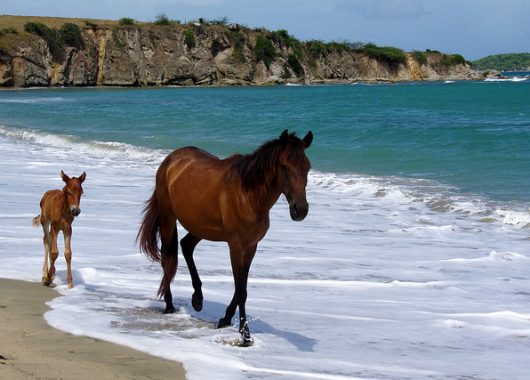 13858681343_1a0bf2992f_z