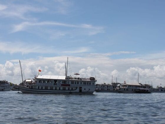 Flamingo Cruise Review- Halong Bay Cruise 2 days 1 night Views