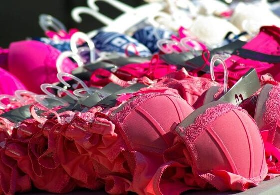 travel bra organizer