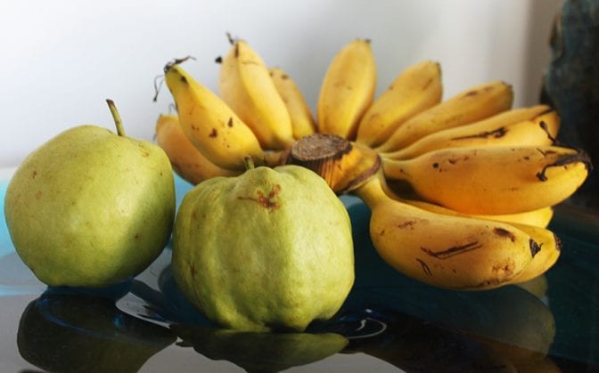 four seasons koh samui review - fruits