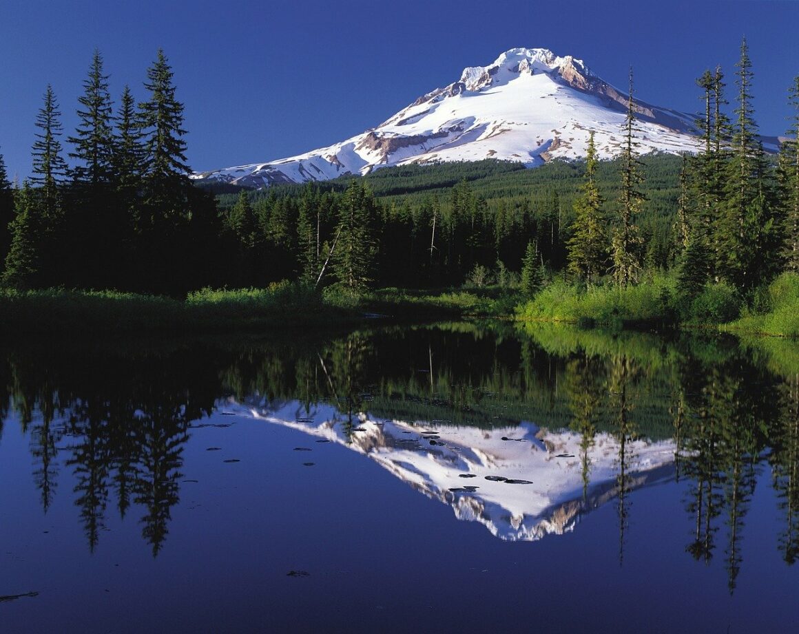 Best Meditation Retreats in Oregon