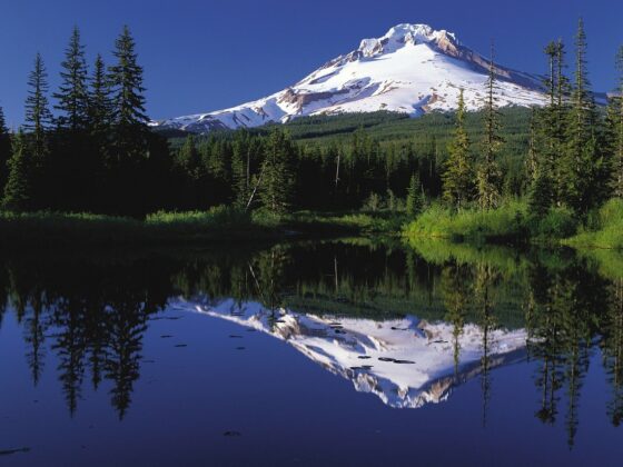 Best Meditation Retreats in Oregon